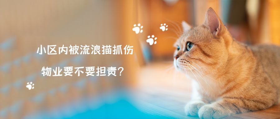 普法 | 小(xiǎo)區(qū)内被流浪猫抓伤，物(wù)业要不要担责？