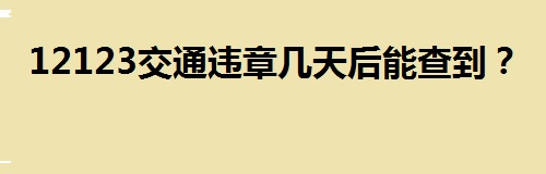 12123交通违章几天后能(néng)查到？